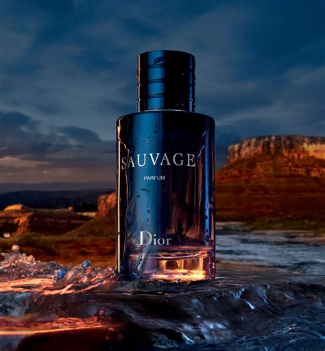 dior sauvage telaffuz|sauvage by dior cologne.